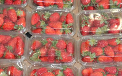 food-2725415_1280