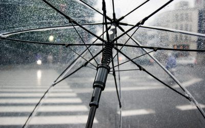 umbrella-4425160_1280